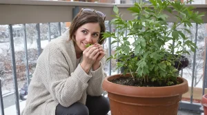 Cette plante remplace les cubes de bouillon et se cultive en pot à cette période précise
